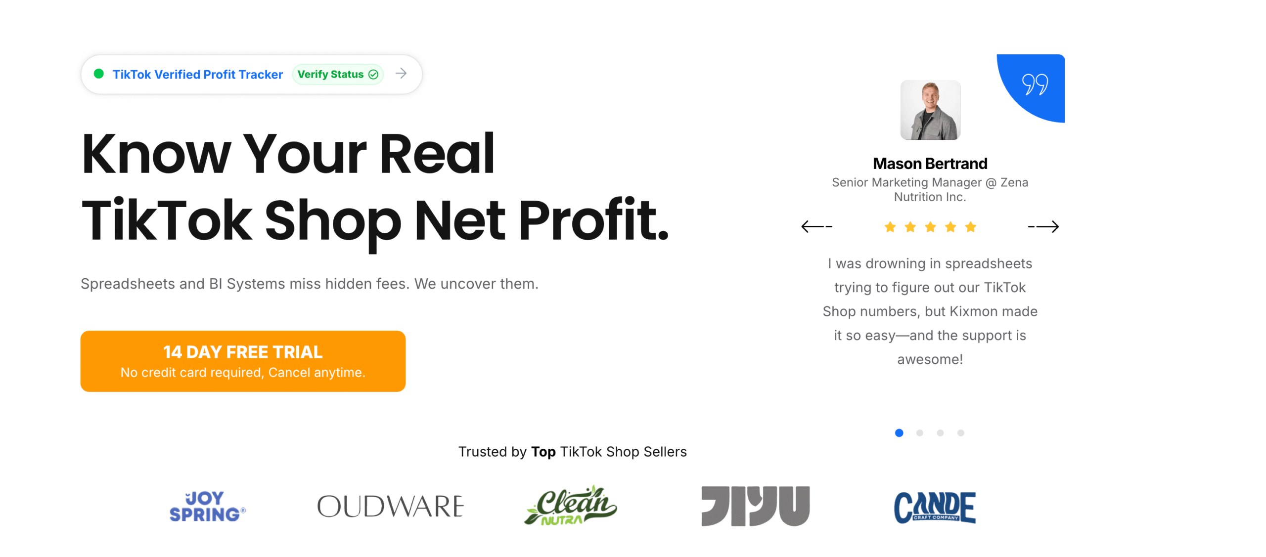 TikTok Profit Tracker logo