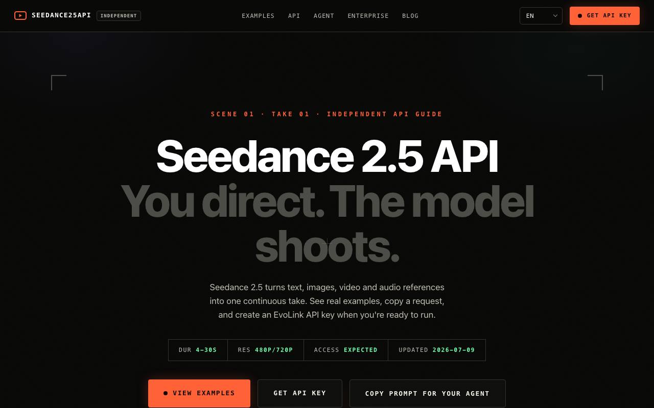 Seedance 2.5 API screenshot