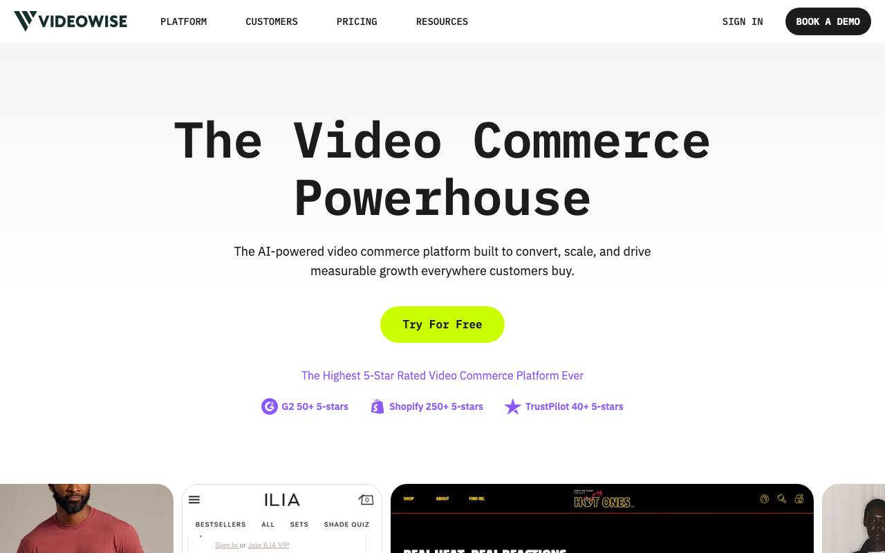 Videowise screenshot