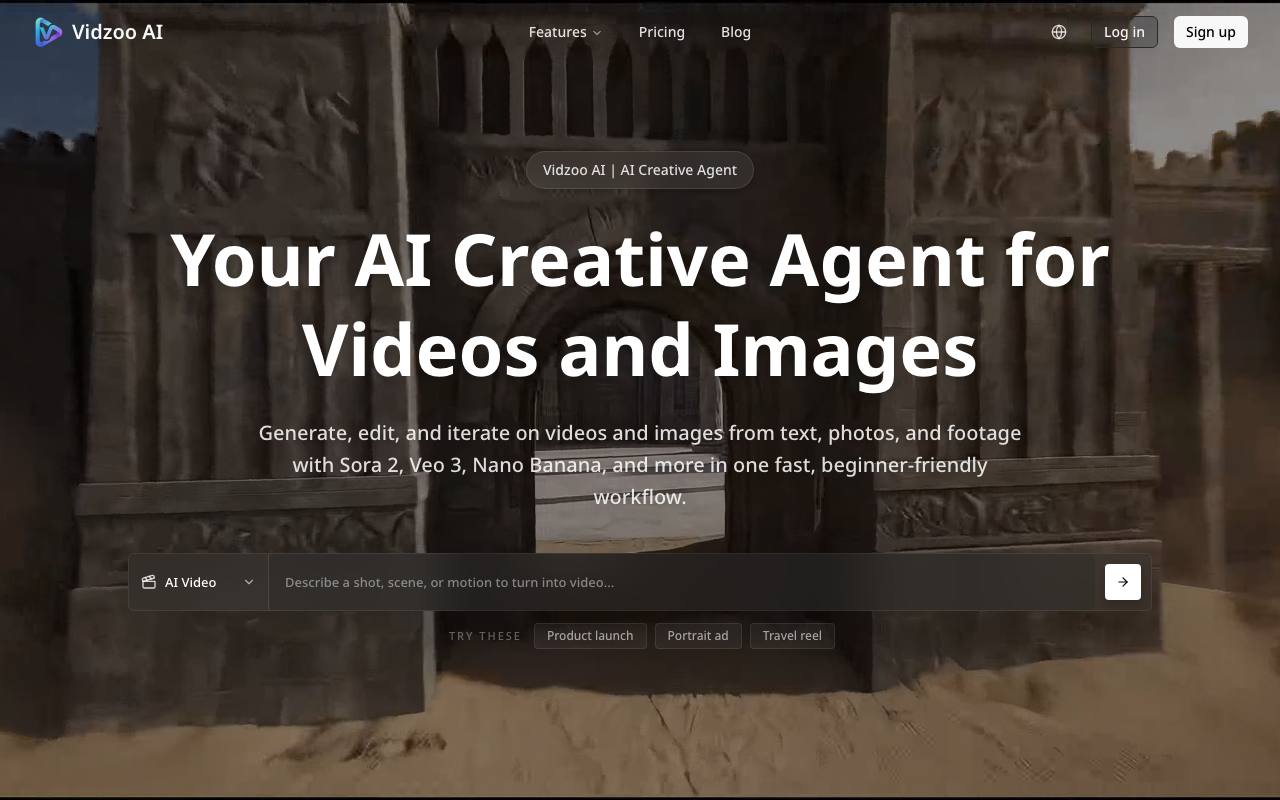 Vidzoo AI screenshot