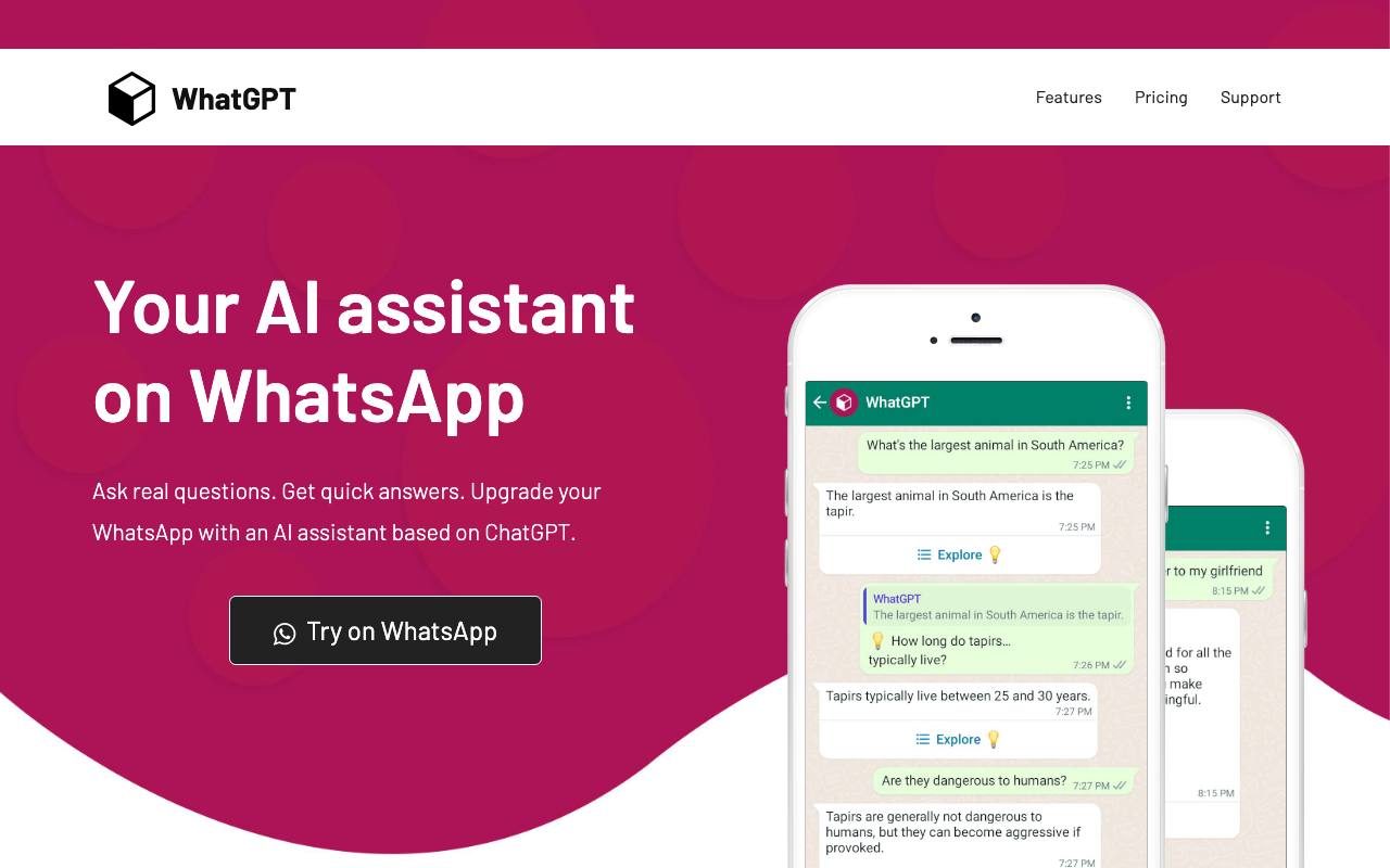 WhatGPT screenshot