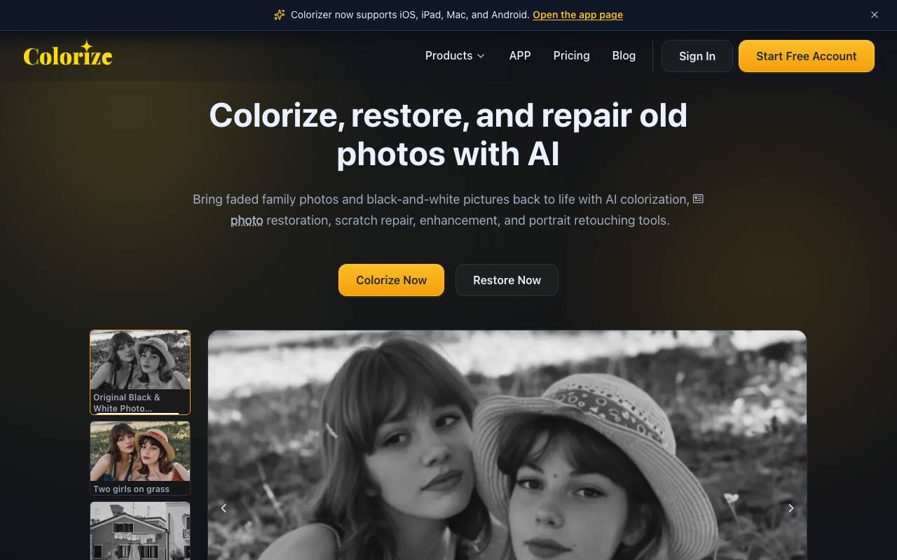 Imagecolorizer screenshot
