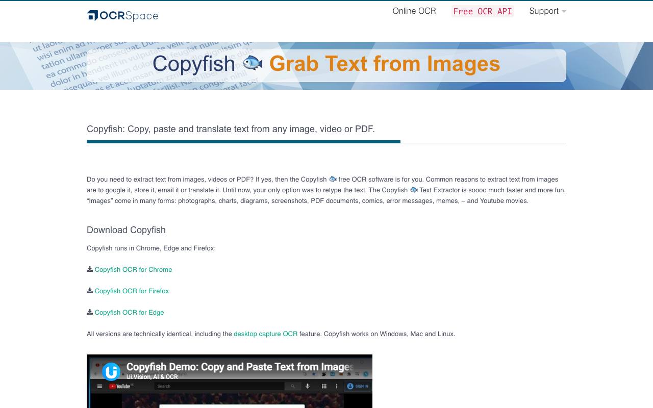 CopyFish screenshot