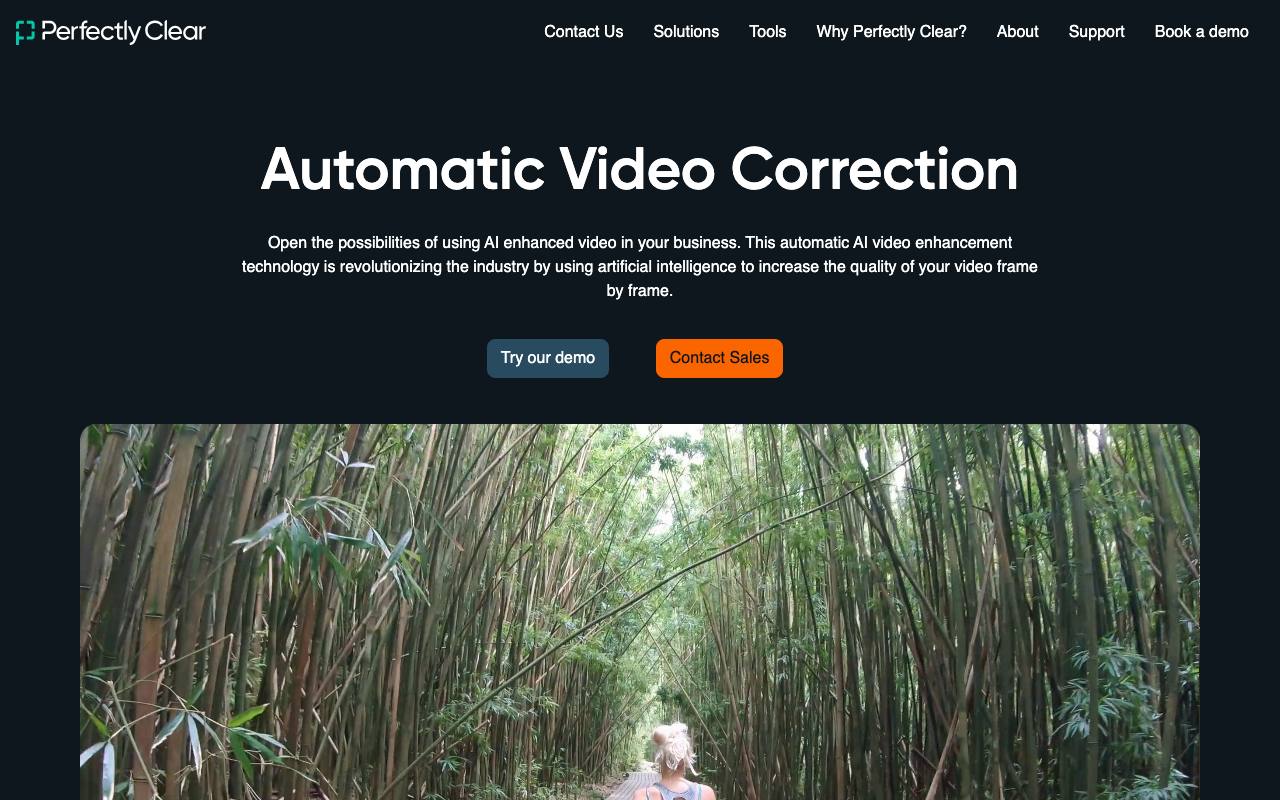 Perfectly Clear Video screenshot