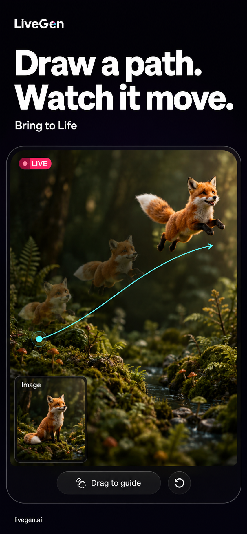LiveGen screenshot