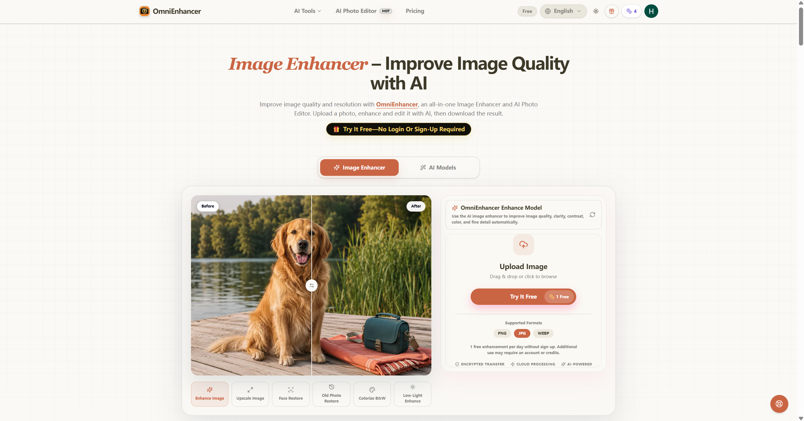 OmniEnhancer screenshot