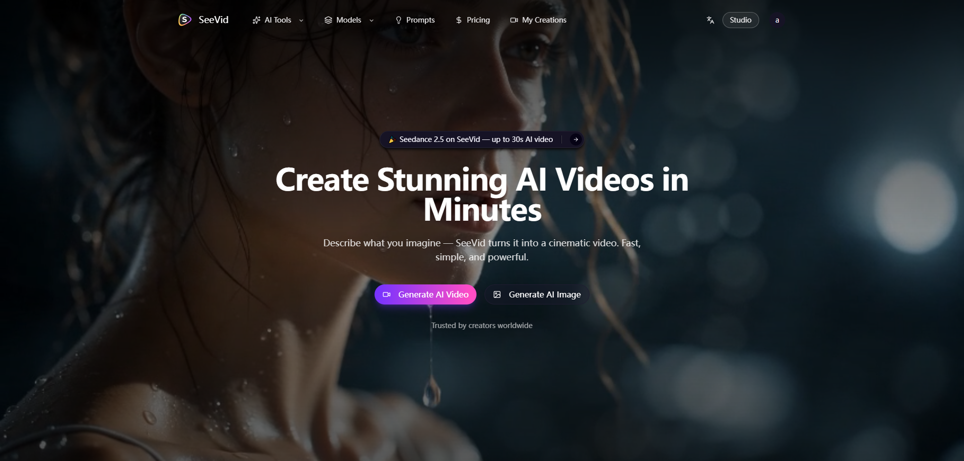 SeeVid screenshot