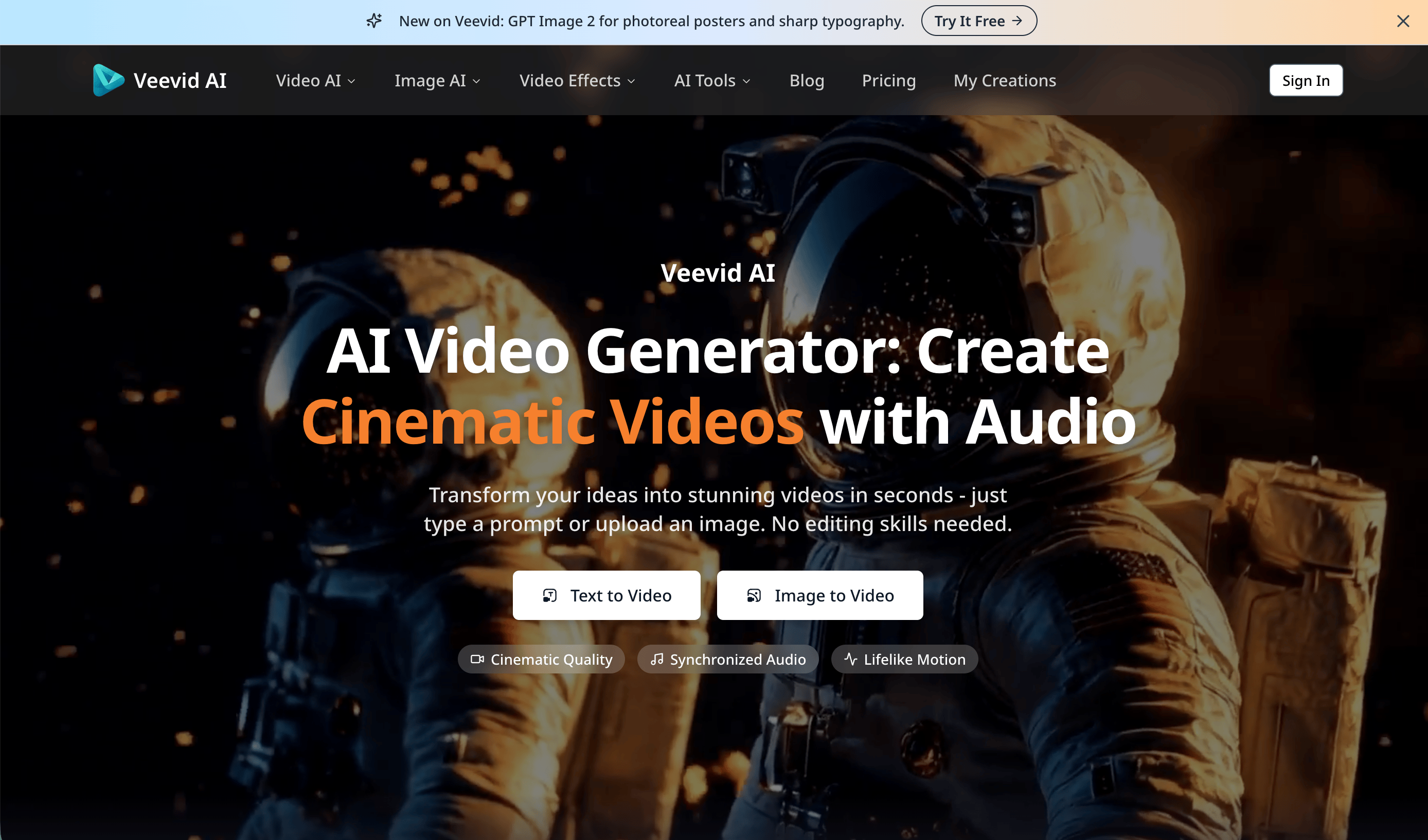 Veevid AI screenshot