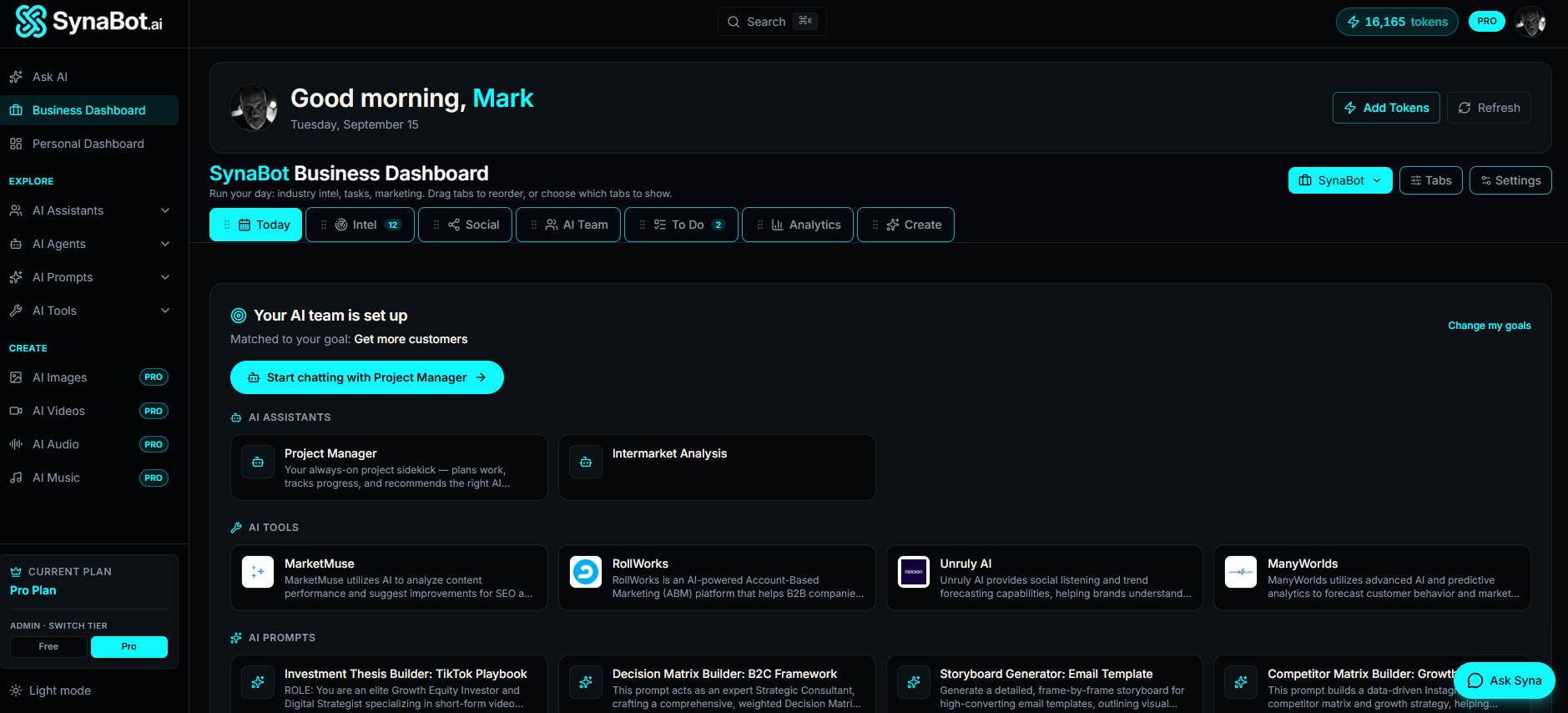 SynaBot AI screenshot