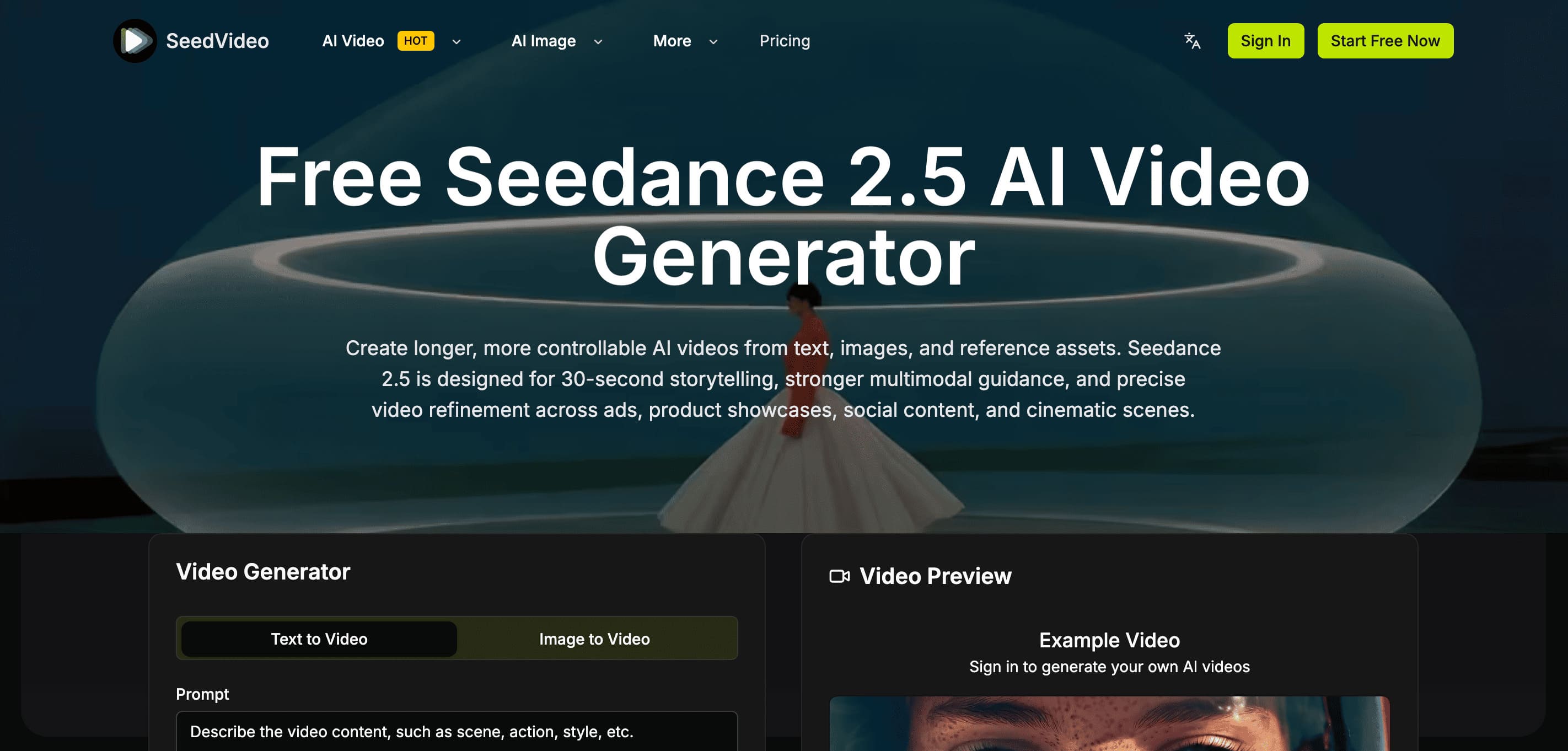 seedvideo screenshot