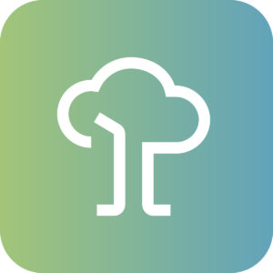 logo 8 5