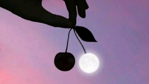 0000001 3 8