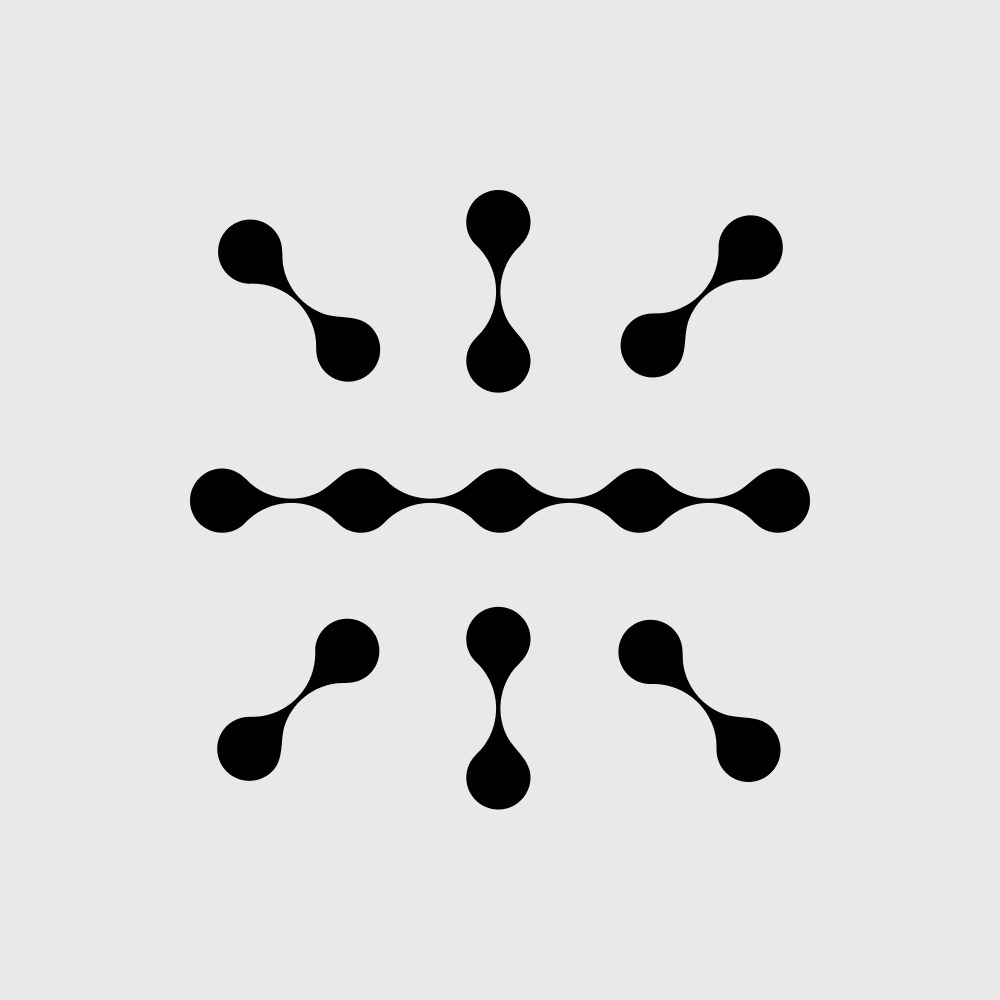icon 21