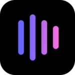 logo 11 1