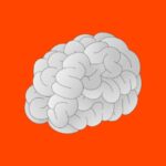 product icon 656301c0 4152 4bb0 a865 7fff0643b681 1