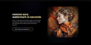 remove sora watermark 5