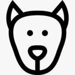 8520d7f3 f64b 4334 af9b 9cd493986010 1