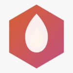 whatsapp image 2026 04 25 at 12.19.38 am 2 1