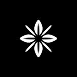 product icon 71f928bc d6e7 456e 8e5c 61aada30ef6b 1