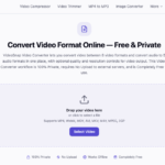 videosnap 1 1