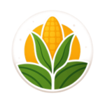 logo 41 1