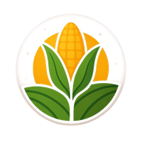 logo 41 1