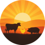 logo 56 1