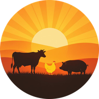 logo 56 1