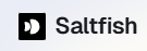 salt logo 1