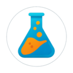 logo 29 1