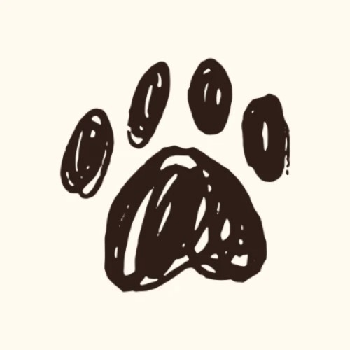 product icon 0807b2a6 4aa4 418a 8e4a dc782c3eecb3 1